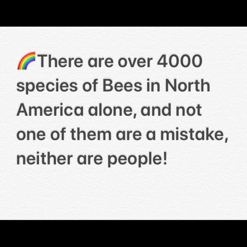 🎁LGBTQ Bee Supportive Sterling Silver Necklace - Picture 7 of 8